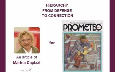 Hierarchy: from defense to connection